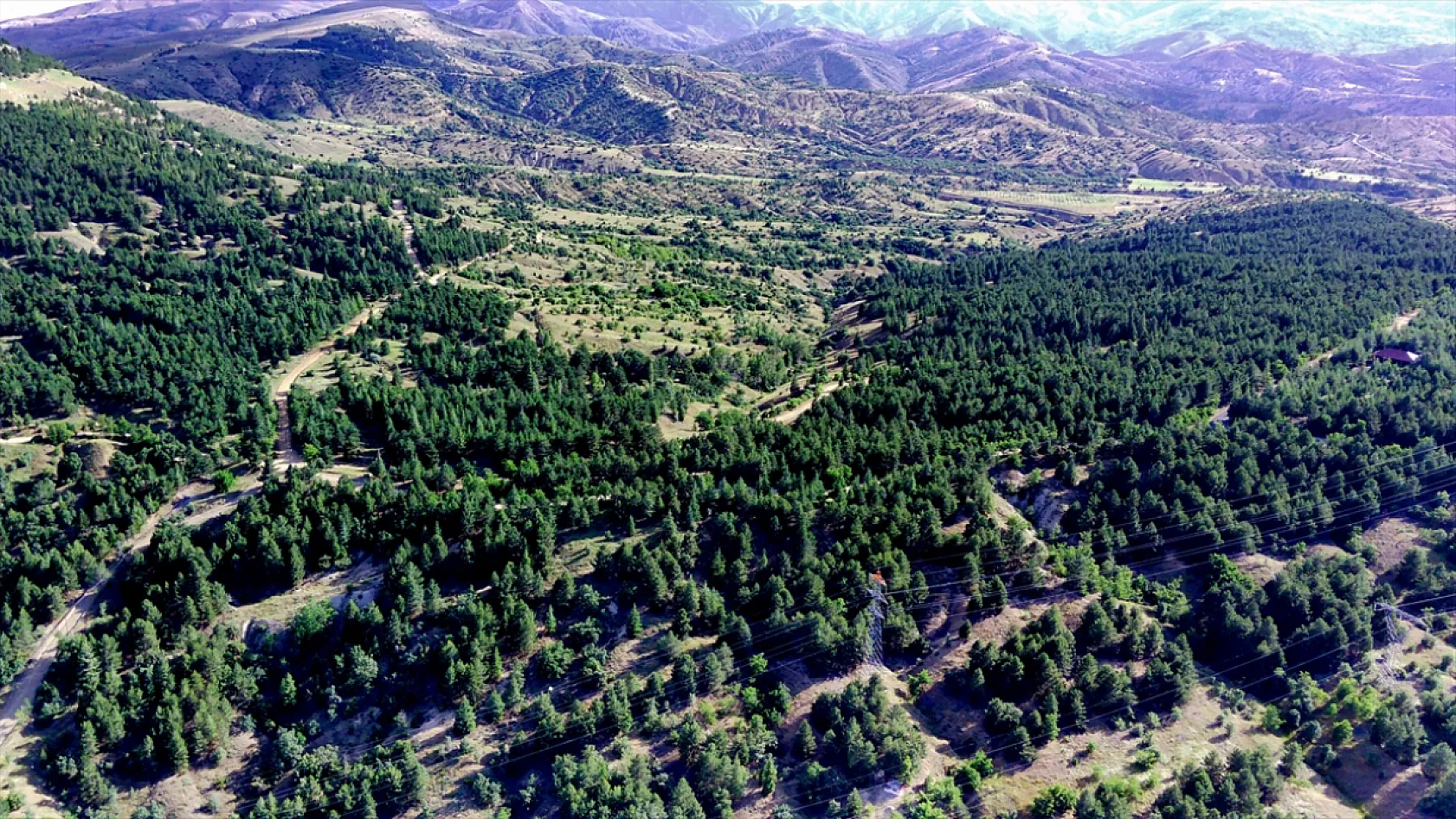 Elazığ'da ağaçlandırma çalışmaları sürüyor