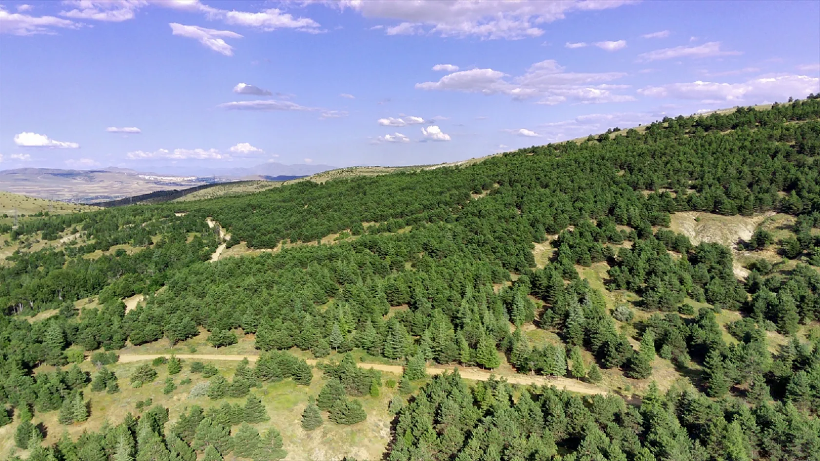 Elazığ'da ağaçlandırma çalışmaları sürüyor