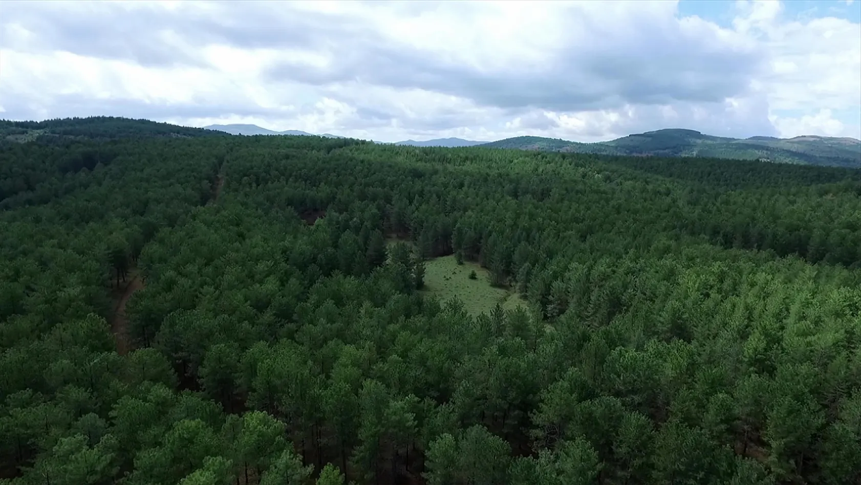 Elazığ'da ağaçlandırma çalışmaları sürüyor
