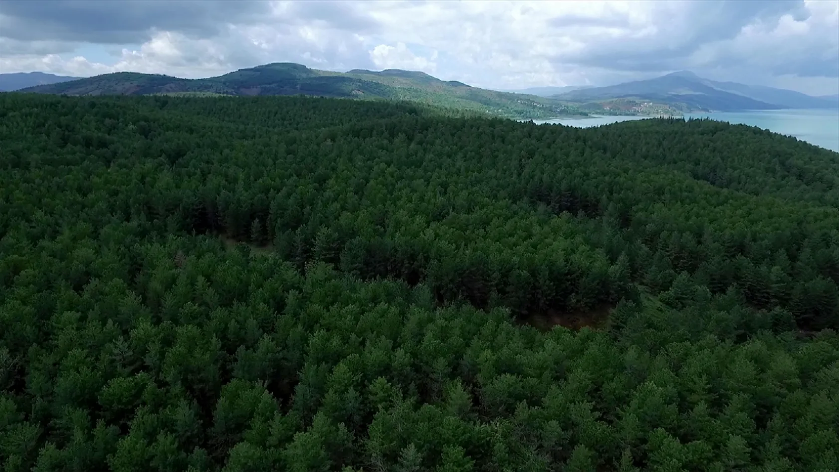 Elazığ'da ağaçlandırma çalışmaları sürüyor