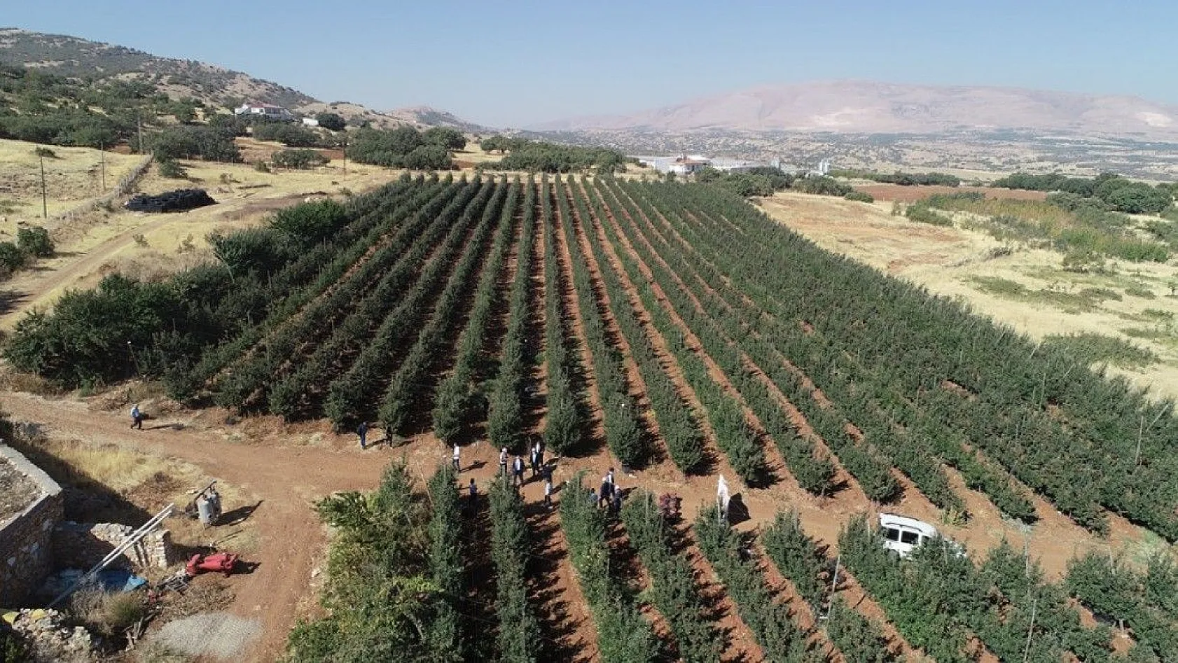 Memurluğu bıraktı, modern tarımla kendi işinin patronu oldu