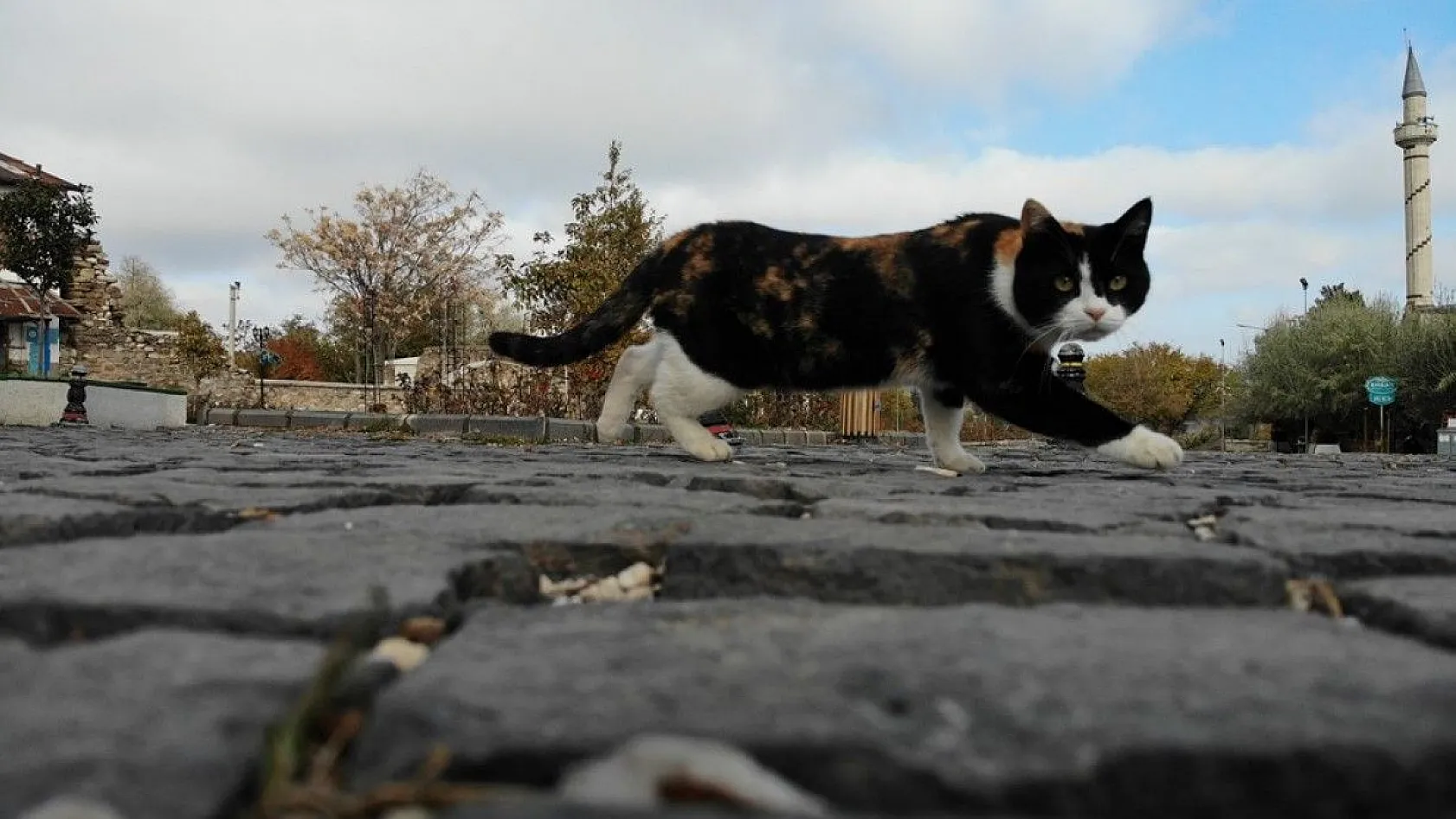 Harput'ta sonbahar güzelliği
