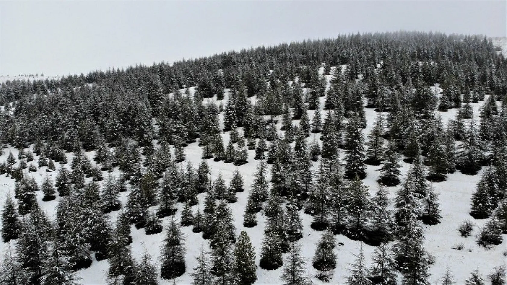 Gakgoşlar diyarından eşsiz manzara