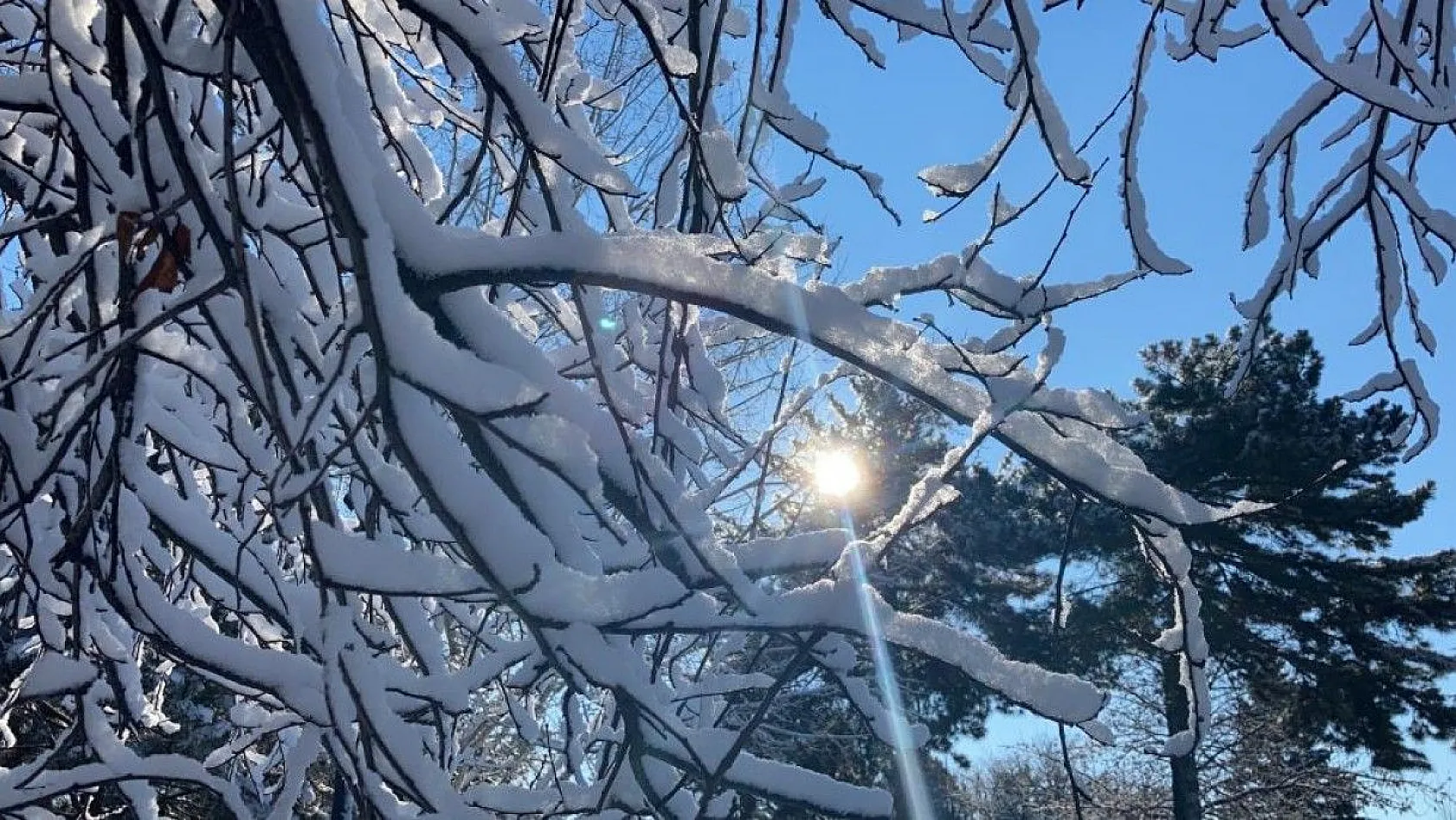 Sessizliğe bürünen Elazığ güne karla uyandı