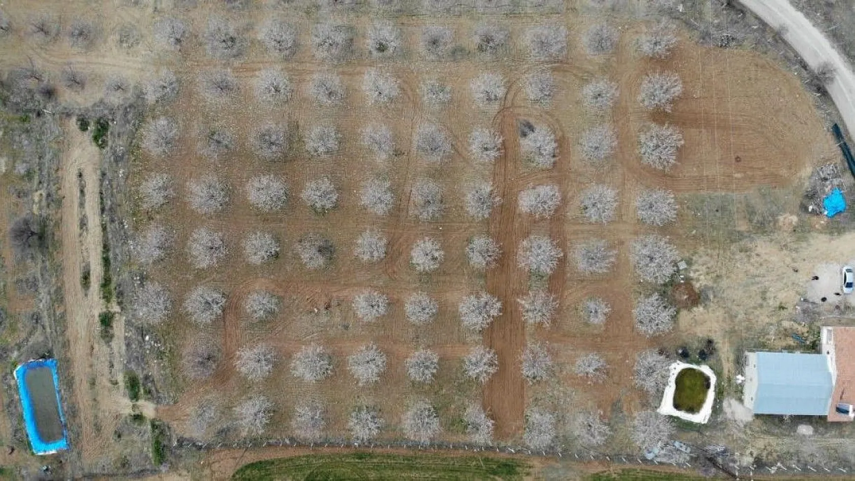 Ağaçlar beyaz gelinliği giydi