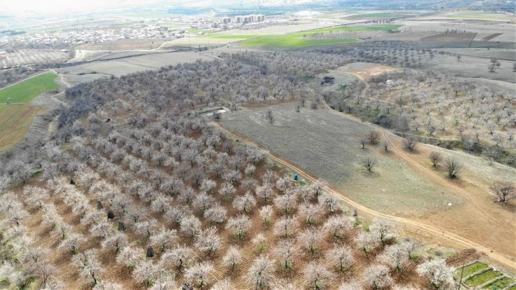 Ağaçlar beyaz gelinliği giydi