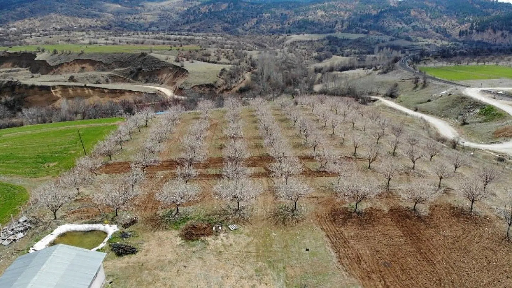 Ağaçlar beyaz gelinliği giydi