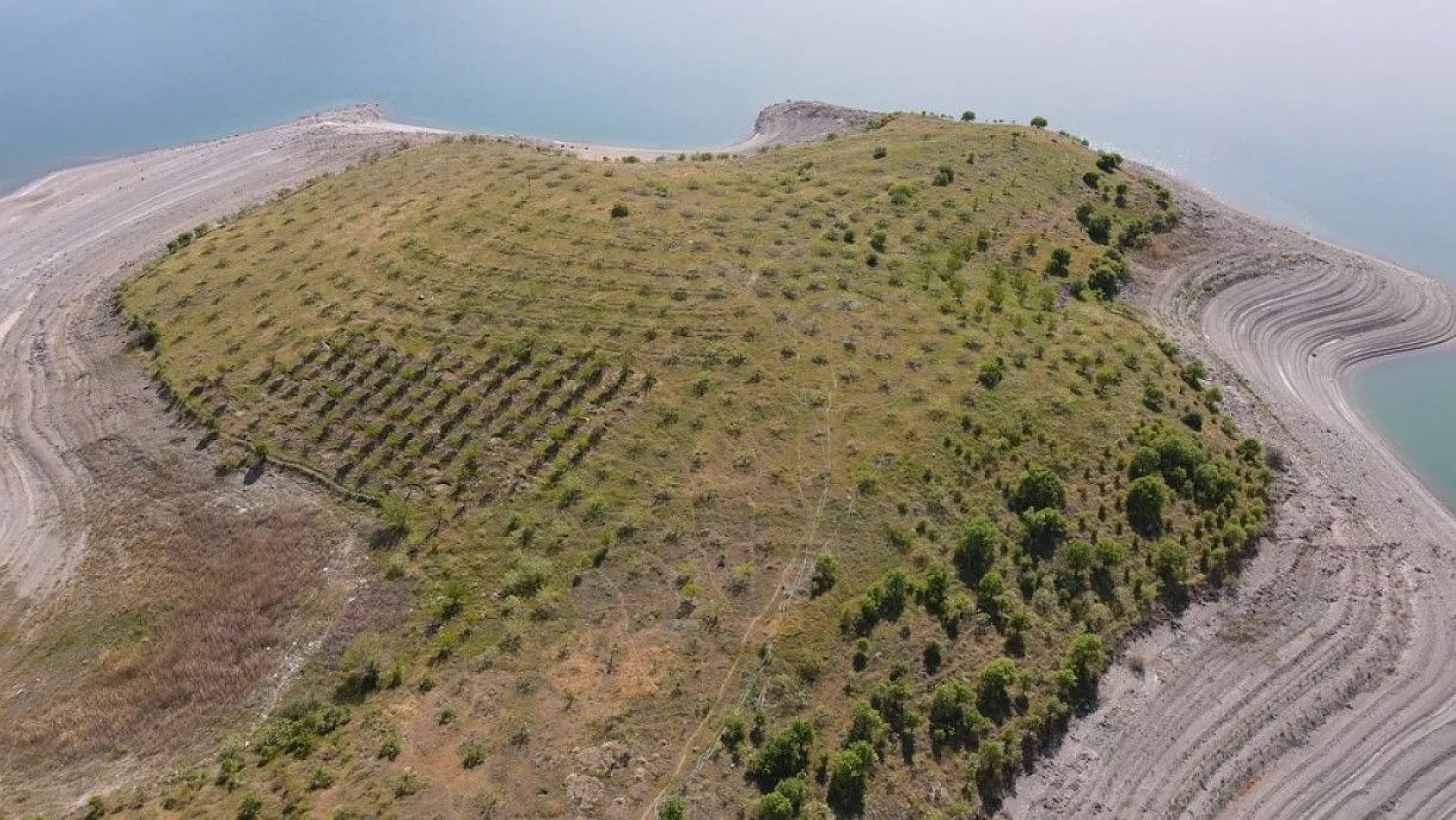 Robinson Ziya dedenin adası baharla birlikte yeşile büründü