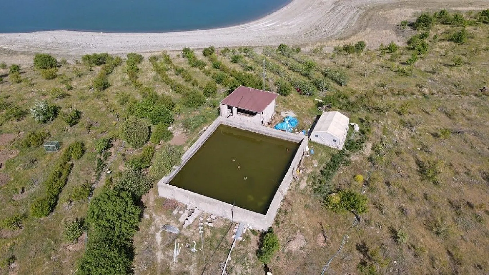 Robinson Ziya dedenin adası baharla birlikte yeşile büründü