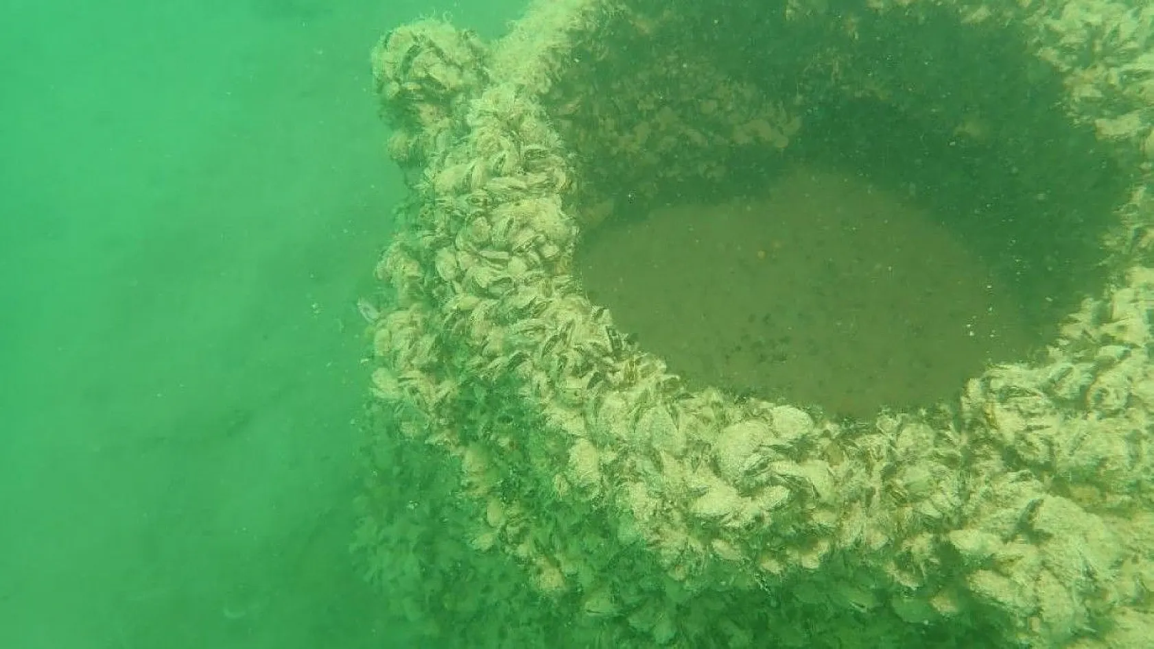 Yarımada olan Elazığ, dalış tutuklarının dikkatini çekiyor