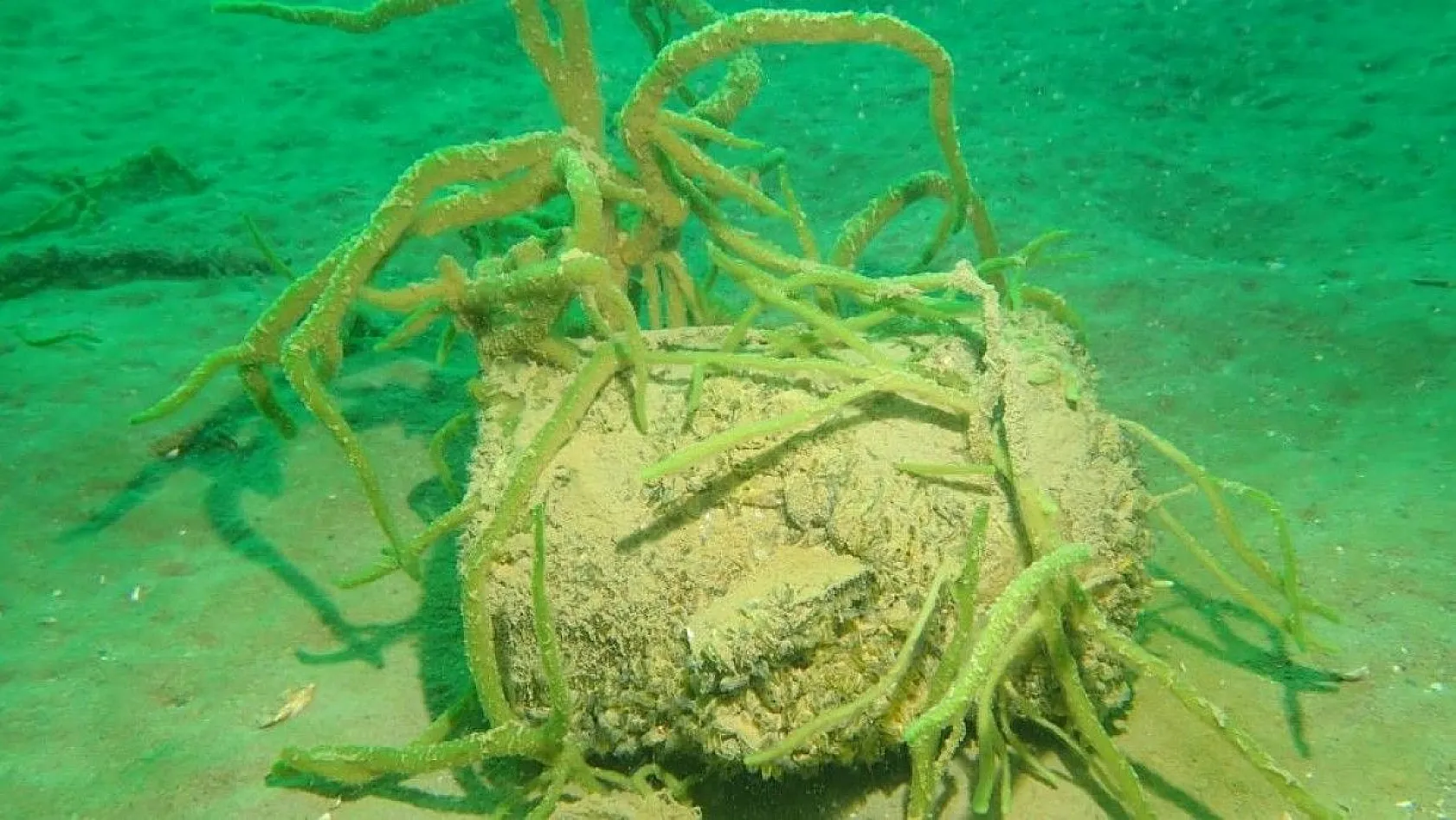 Yarımada olan Elazığ, dalış tutuklarının dikkatini çekiyor