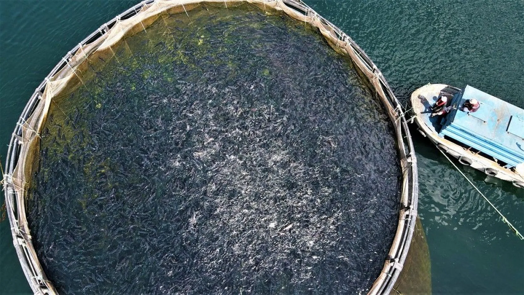 Elazığ'da üretilip birçok ülkeye ihraç ediliyor