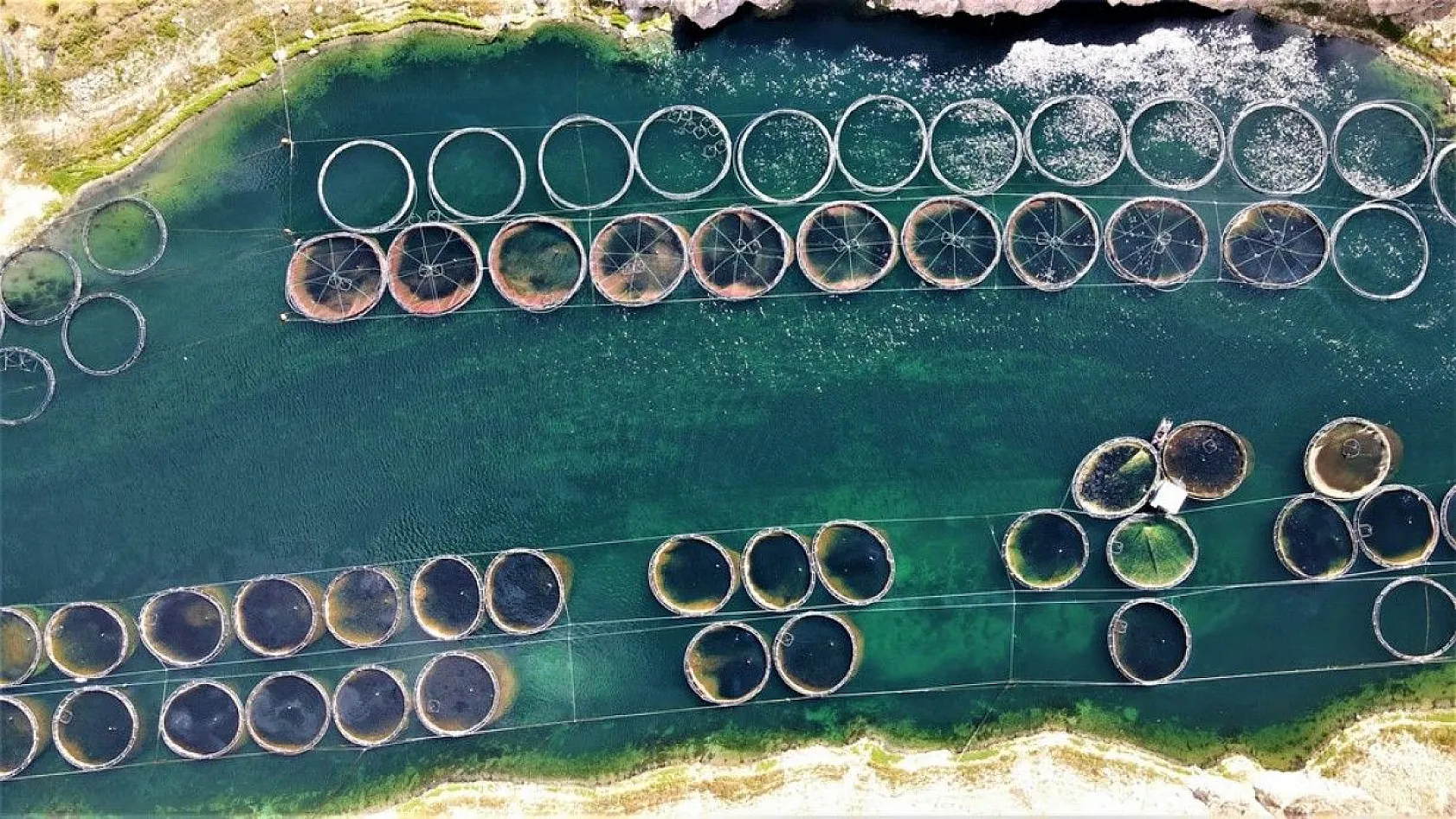 Elazığ'da üretilip birçok ülkeye ihraç ediliyor