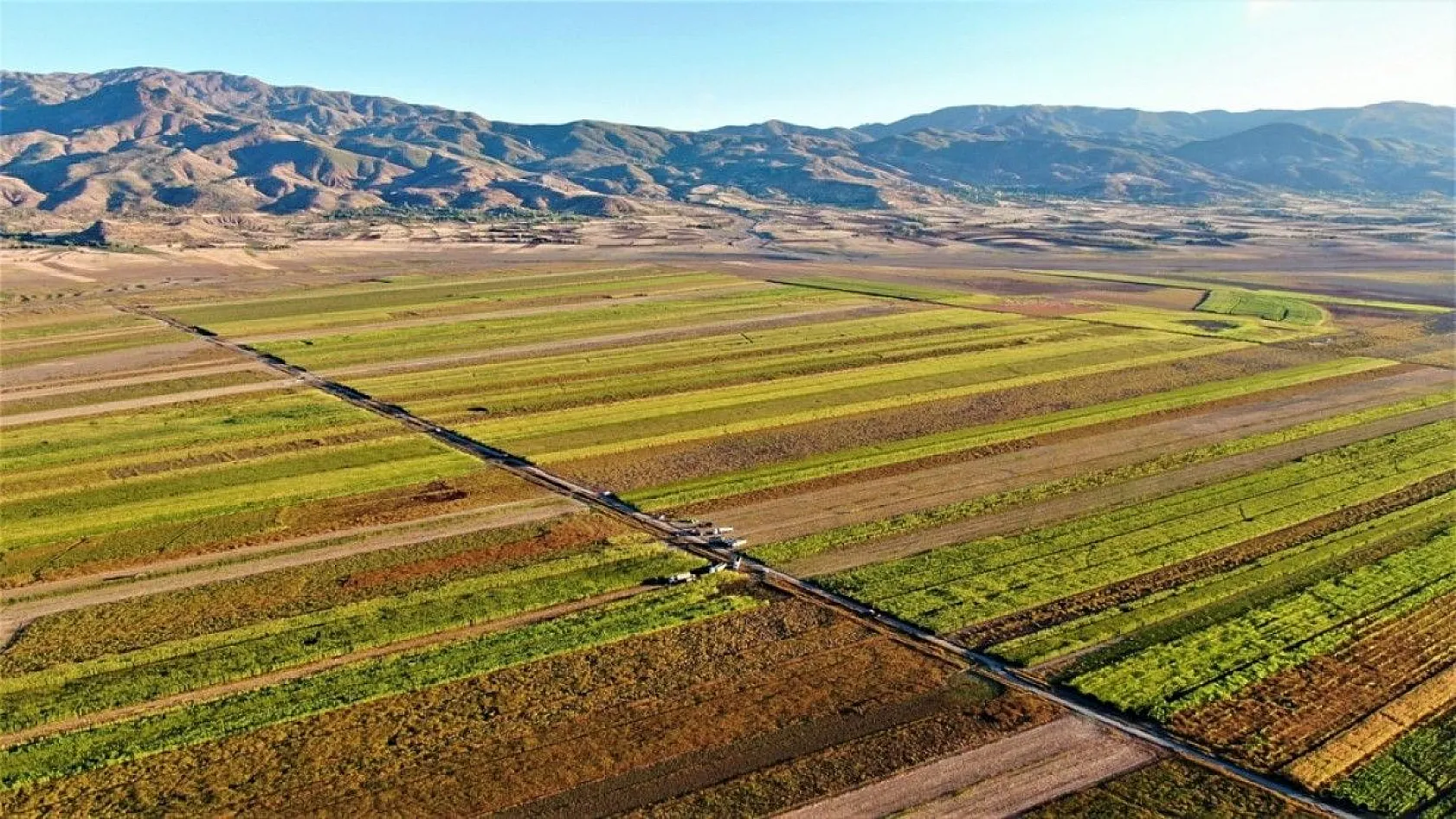 4 bin dönümlük alanda silajlık mısır hasadı başladı