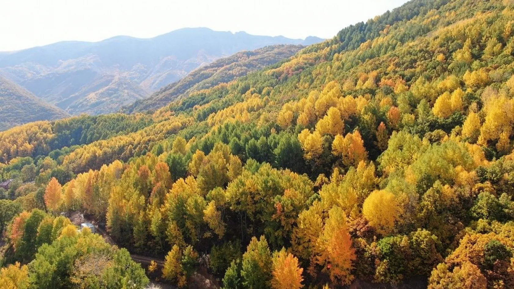 Tunceli sonbaharda görsel şölen sunuyor