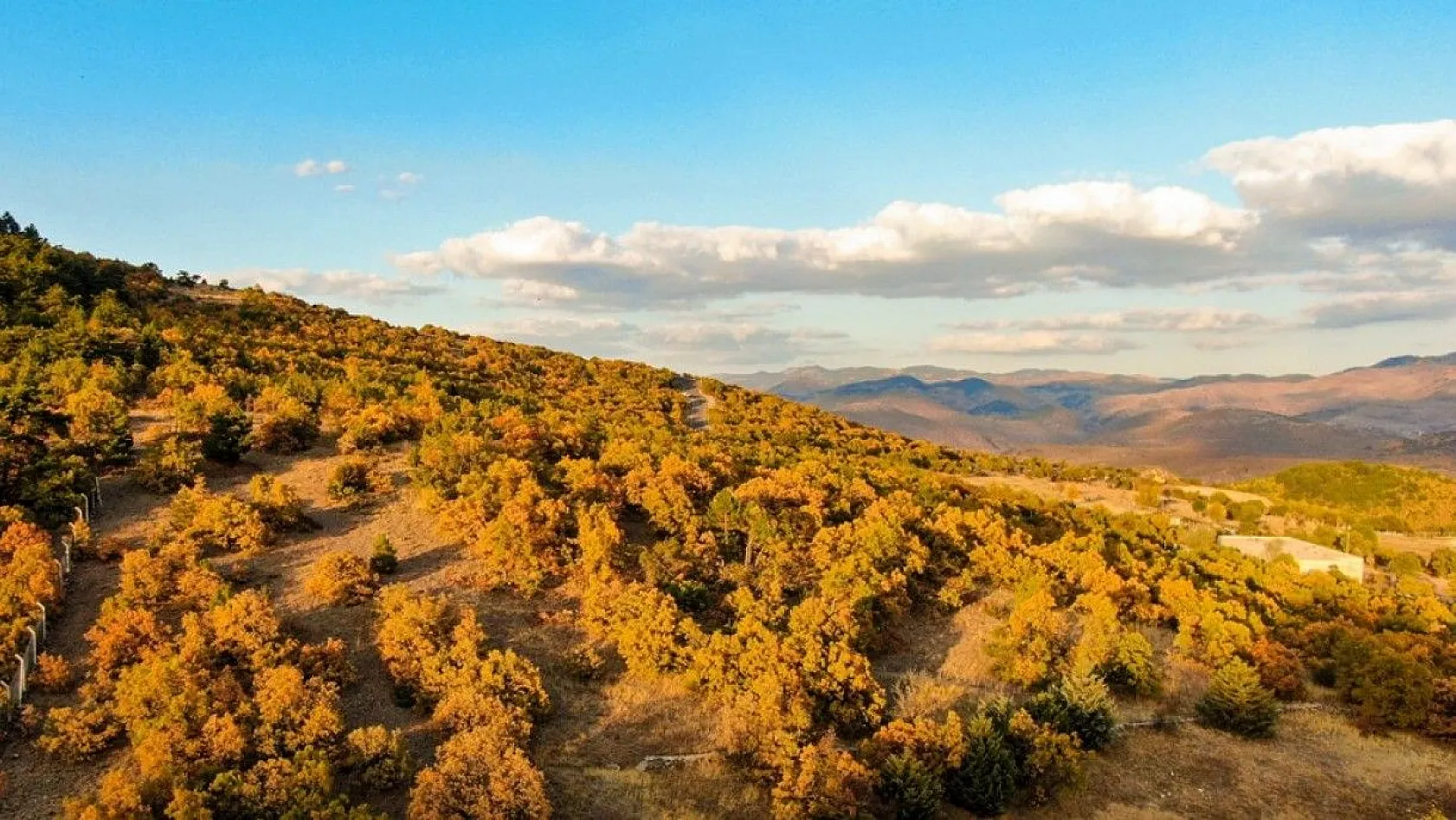 Ankara'da eşsiz sonbahar manzarası