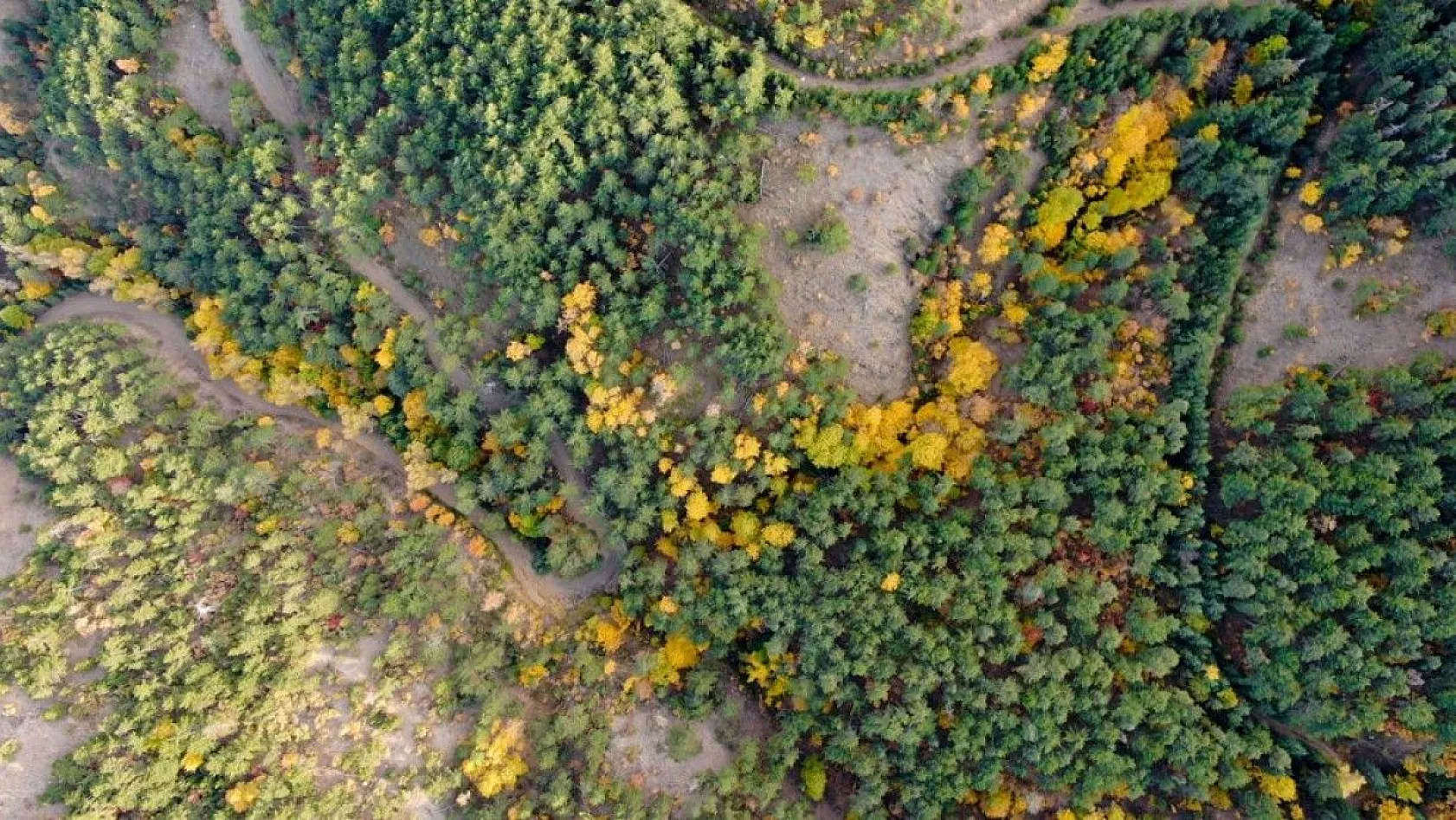 Ankara'da eşsiz sonbahar manzarası