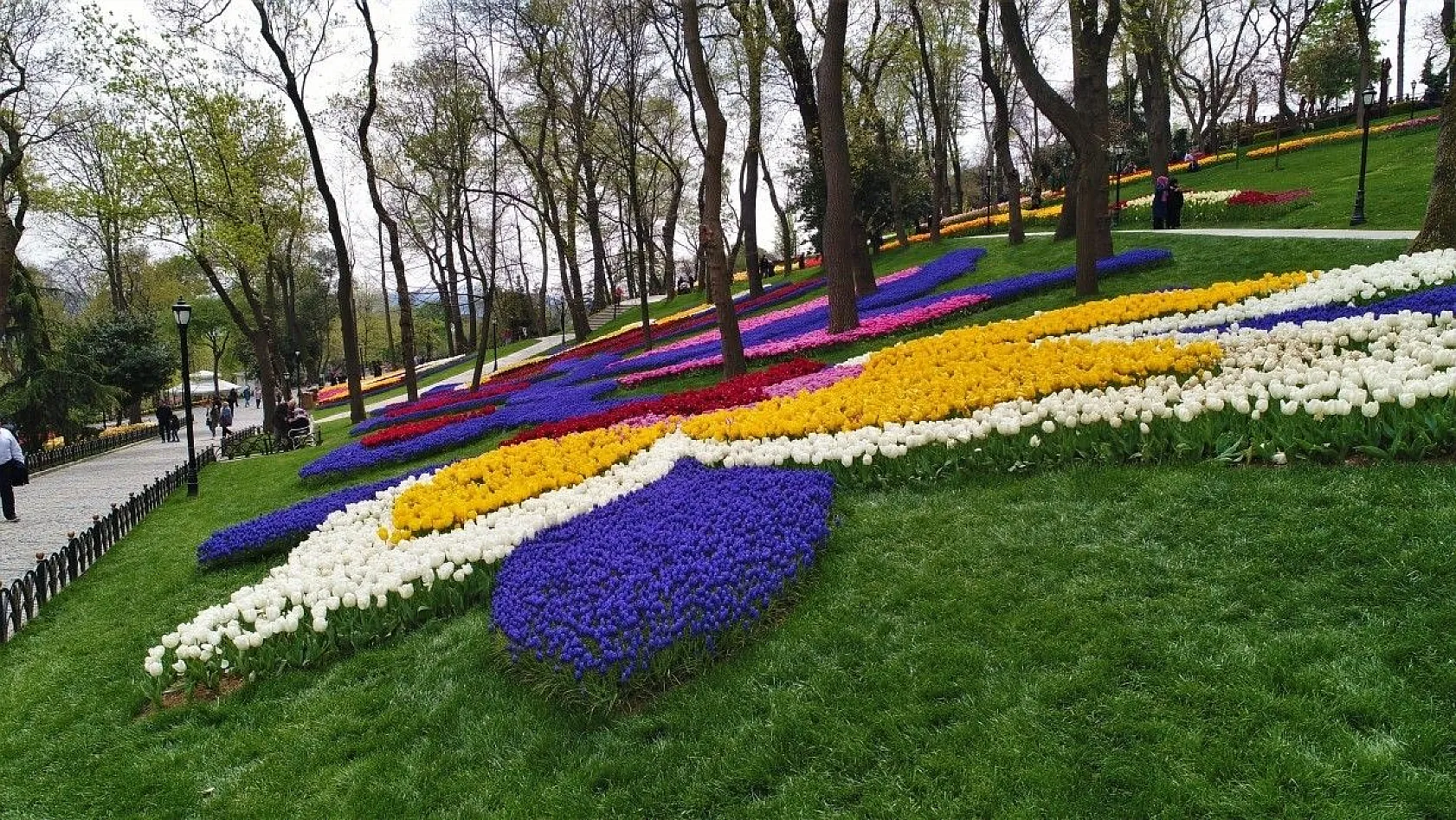 İstanbul'da lale zamanı