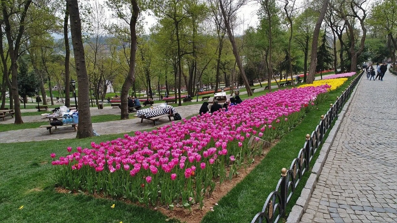 İstanbul'da lale zamanı