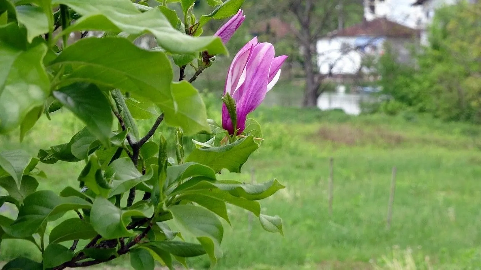 Bosna-Hersek'te ilkbahar güzelliği