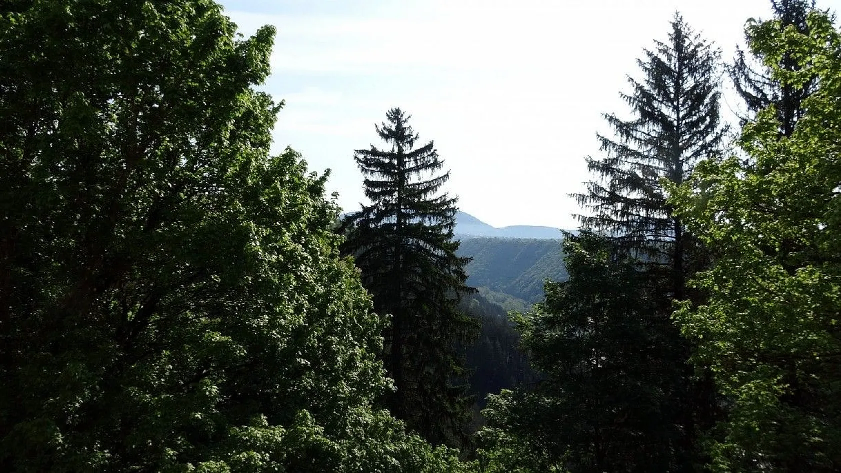 Bosna-Hersek'te ilkbahar güzelliği