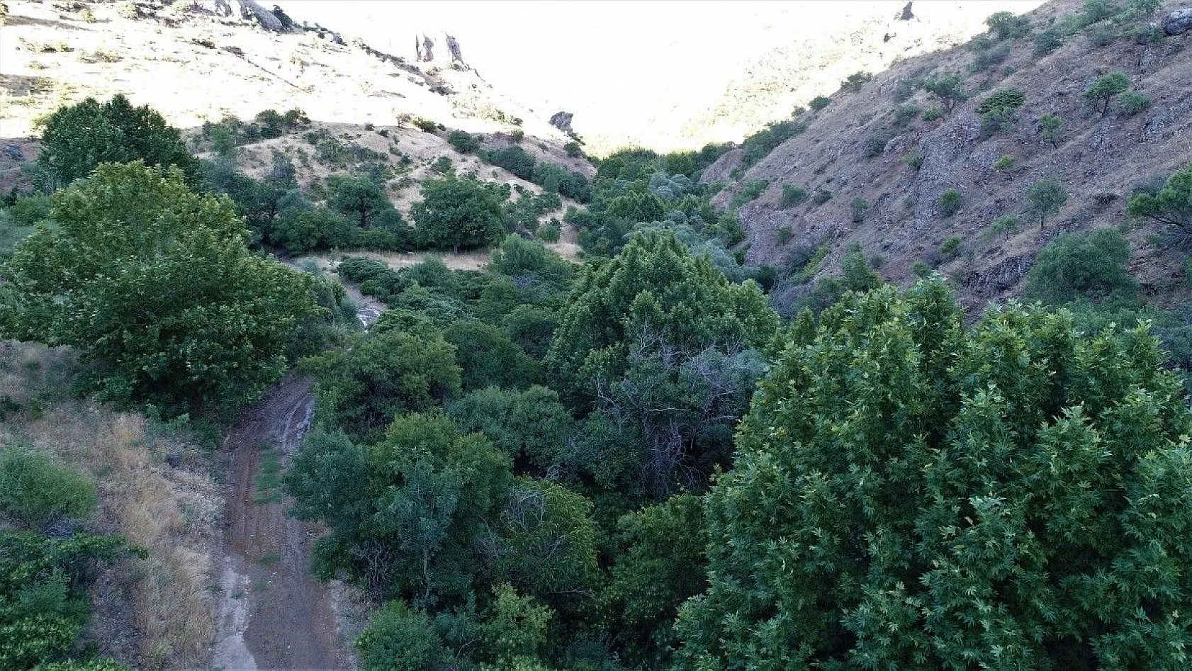 Deve Mağarası ve Ölbe Vadisi güzelliği ile dikkat çekiyor