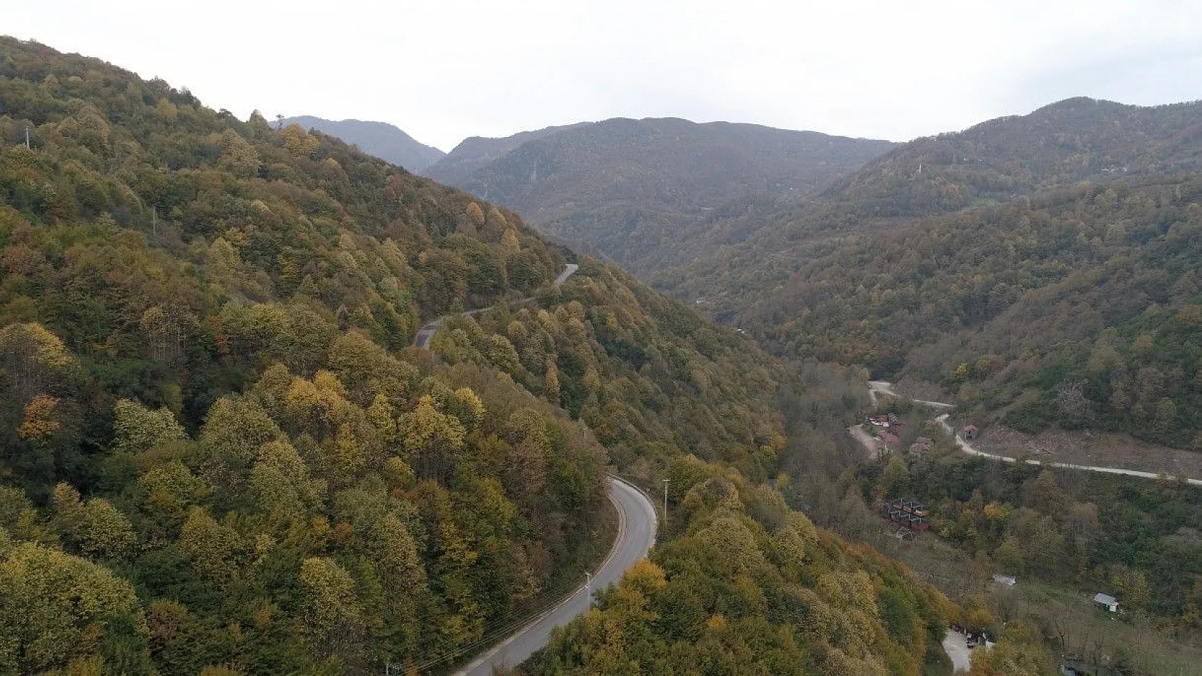 Kocaeli ormanlarında renk cümbüşü