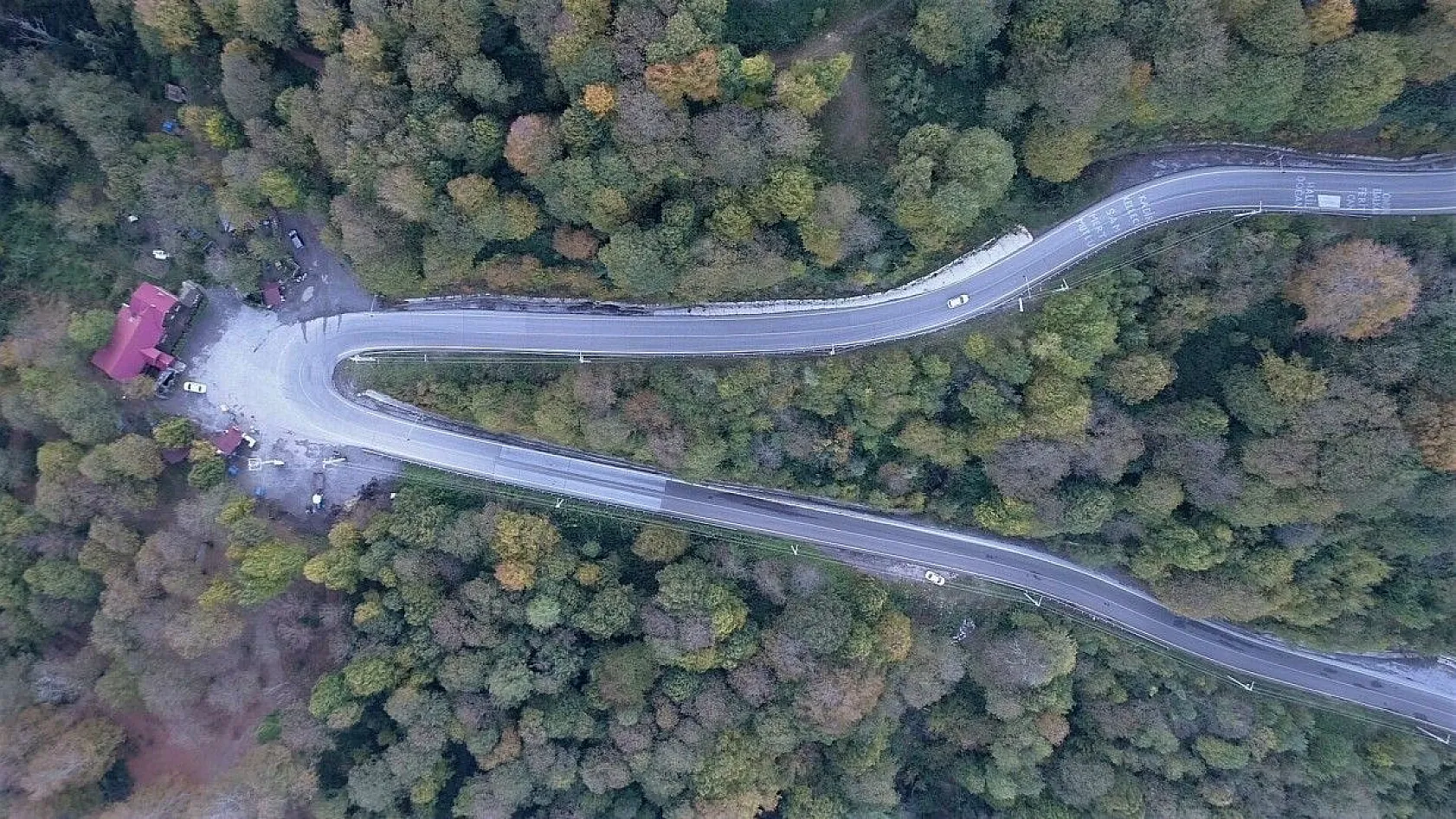 Kocaeli ormanlarında renk cümbüşü