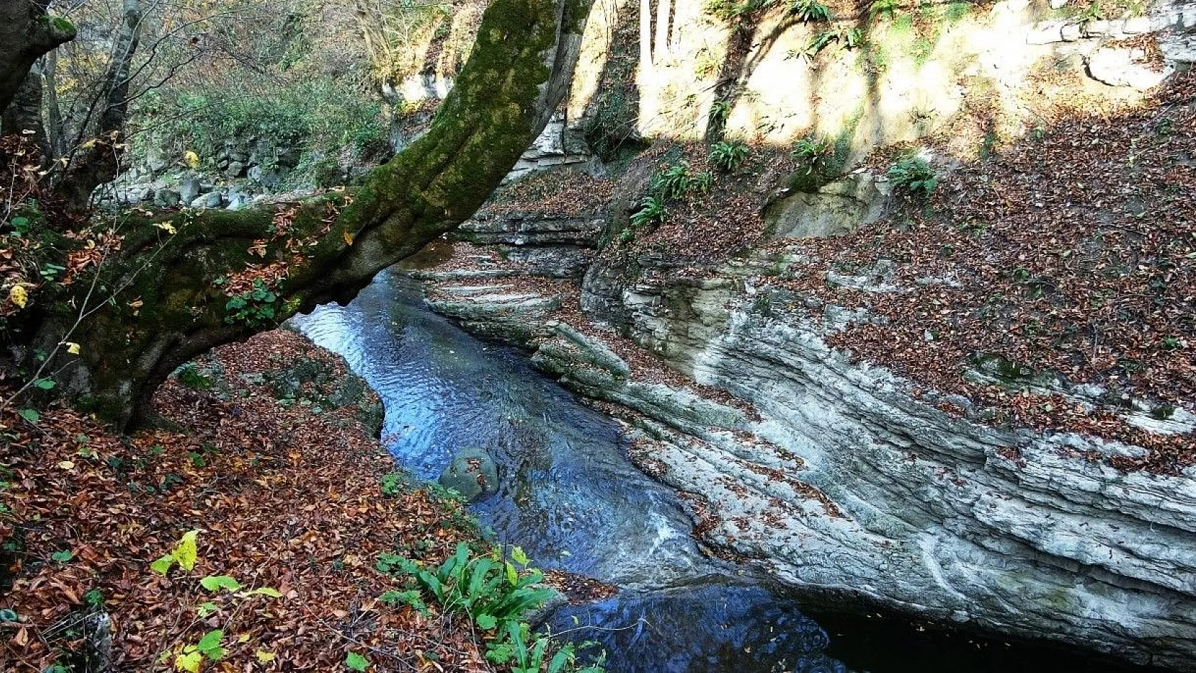 Trabzon'un saklı cenneti: Kudavas Şelalesi