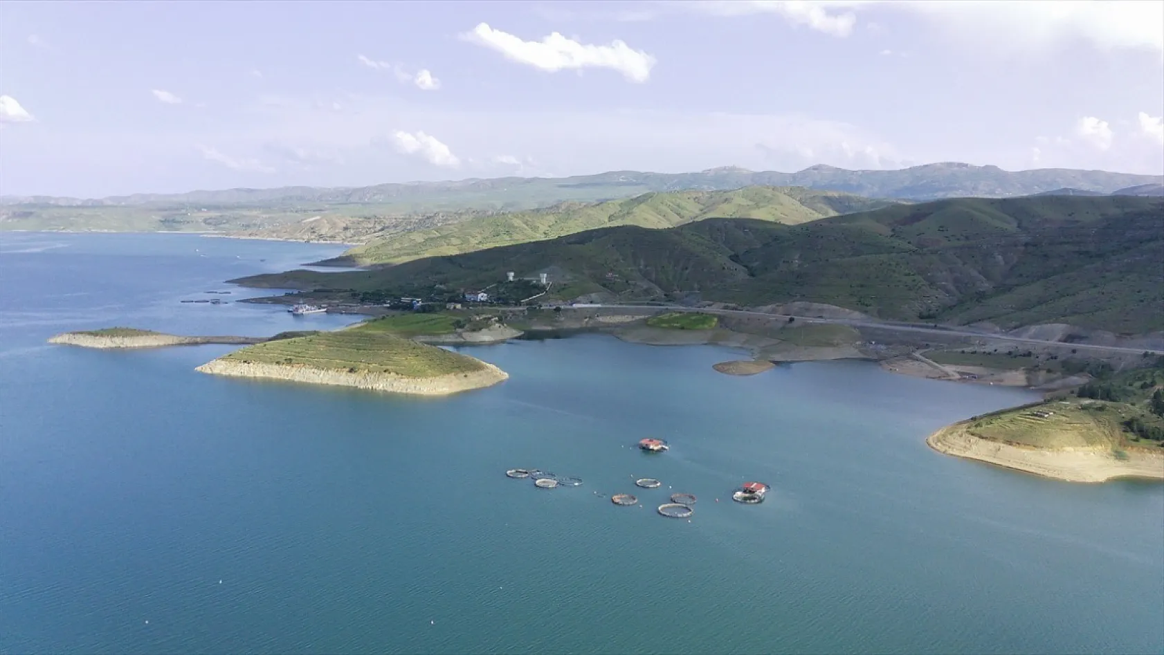 Elazığ'da bu yıl 700 bin siraz balığı yavrusu ekonomiye kazandırılacak