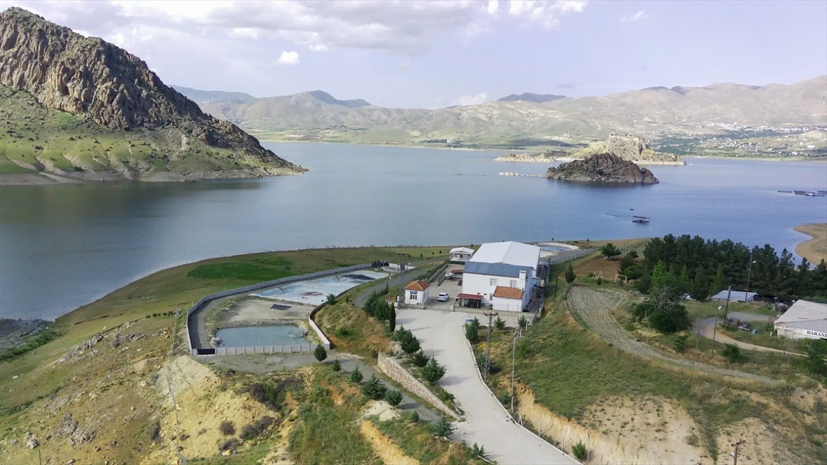 Elazığ'da bu yıl 700 bin siraz balığı yavrusu ekonomiye kazandırılacak