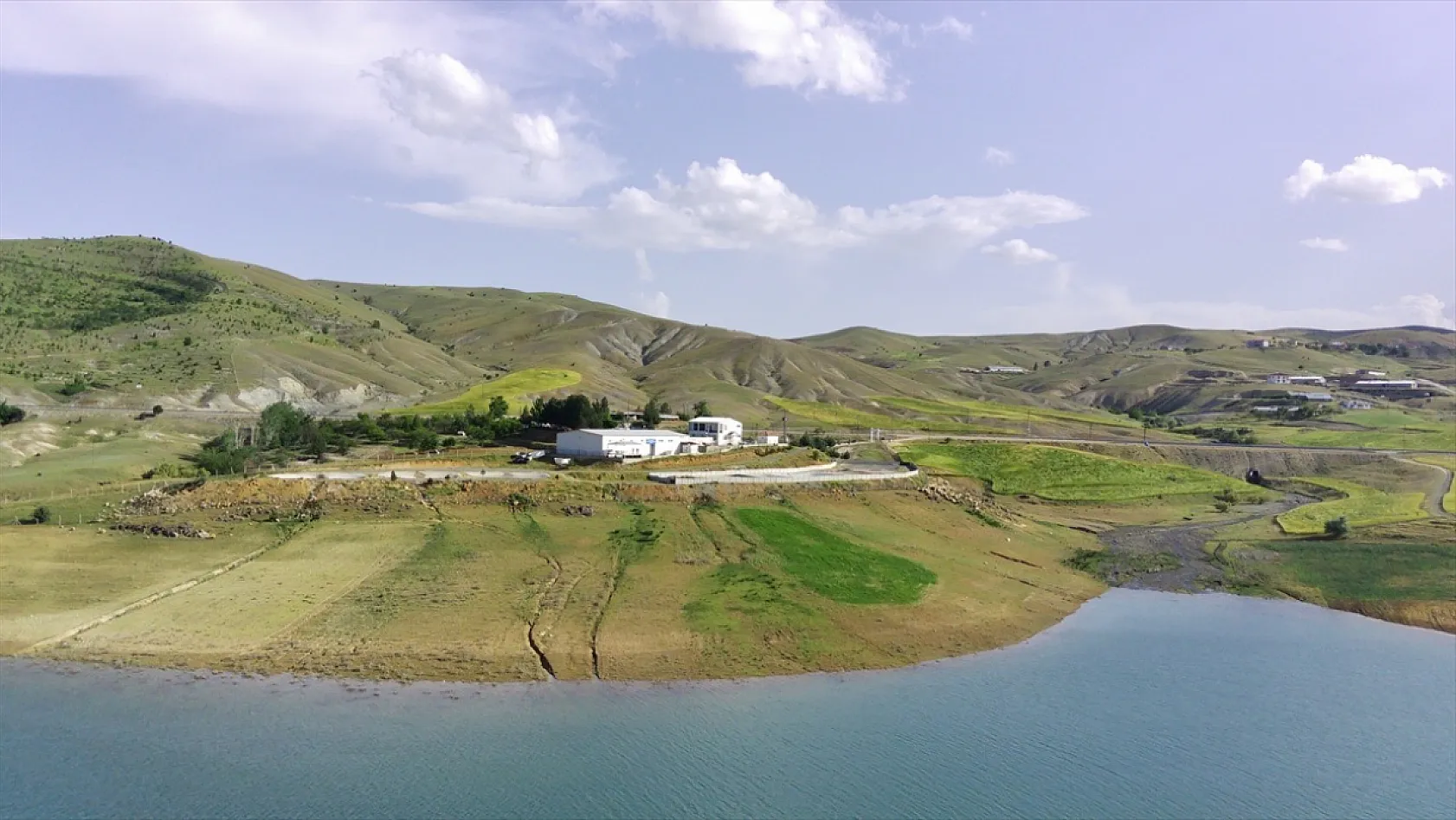 Elazığ'da bu yıl 700 bin siraz balığı yavrusu ekonomiye kazandırılacak