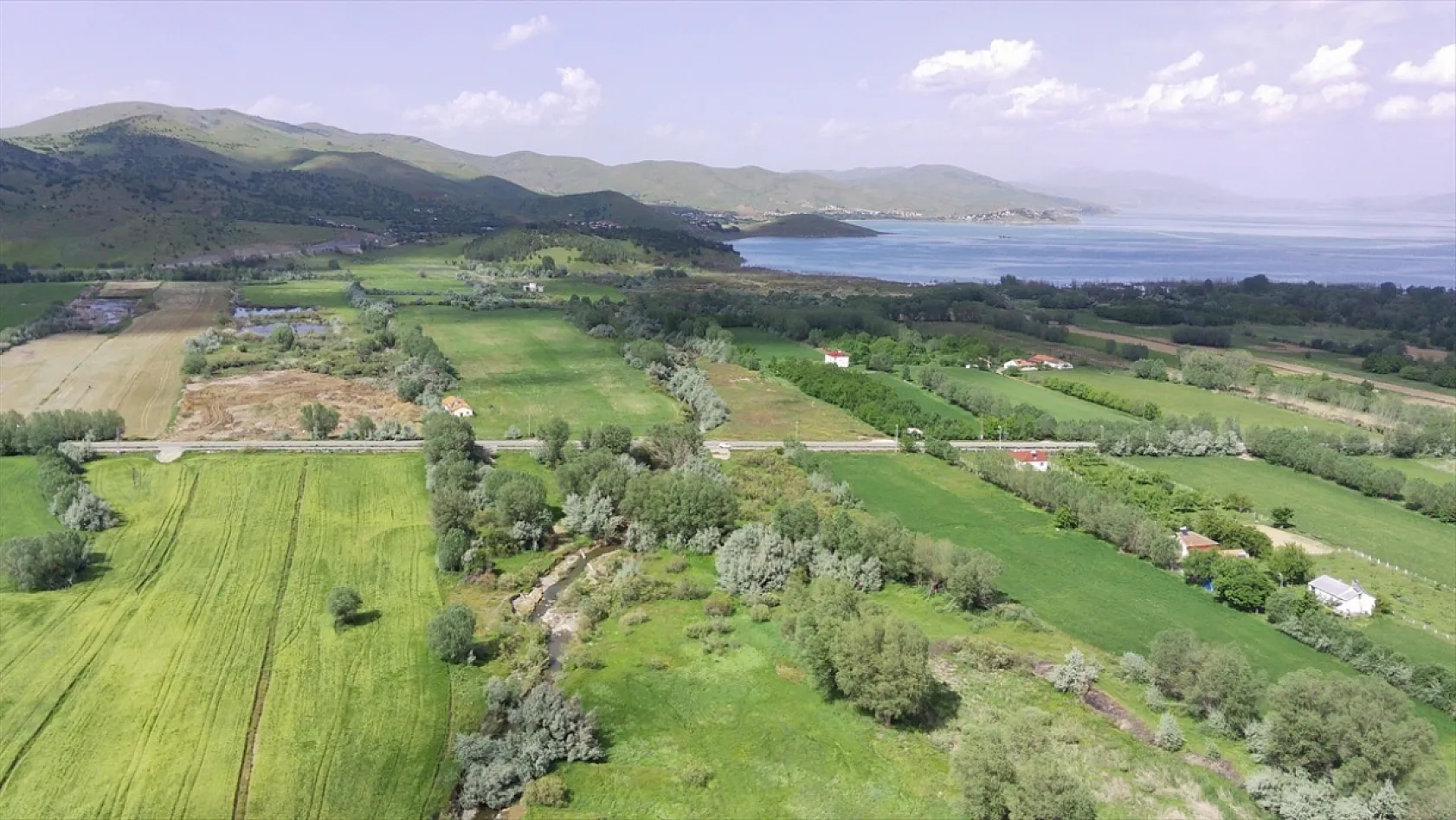 Elazığ'da bu yıl 700 bin siraz balığı yavrusu ekonomiye kazandırılacak