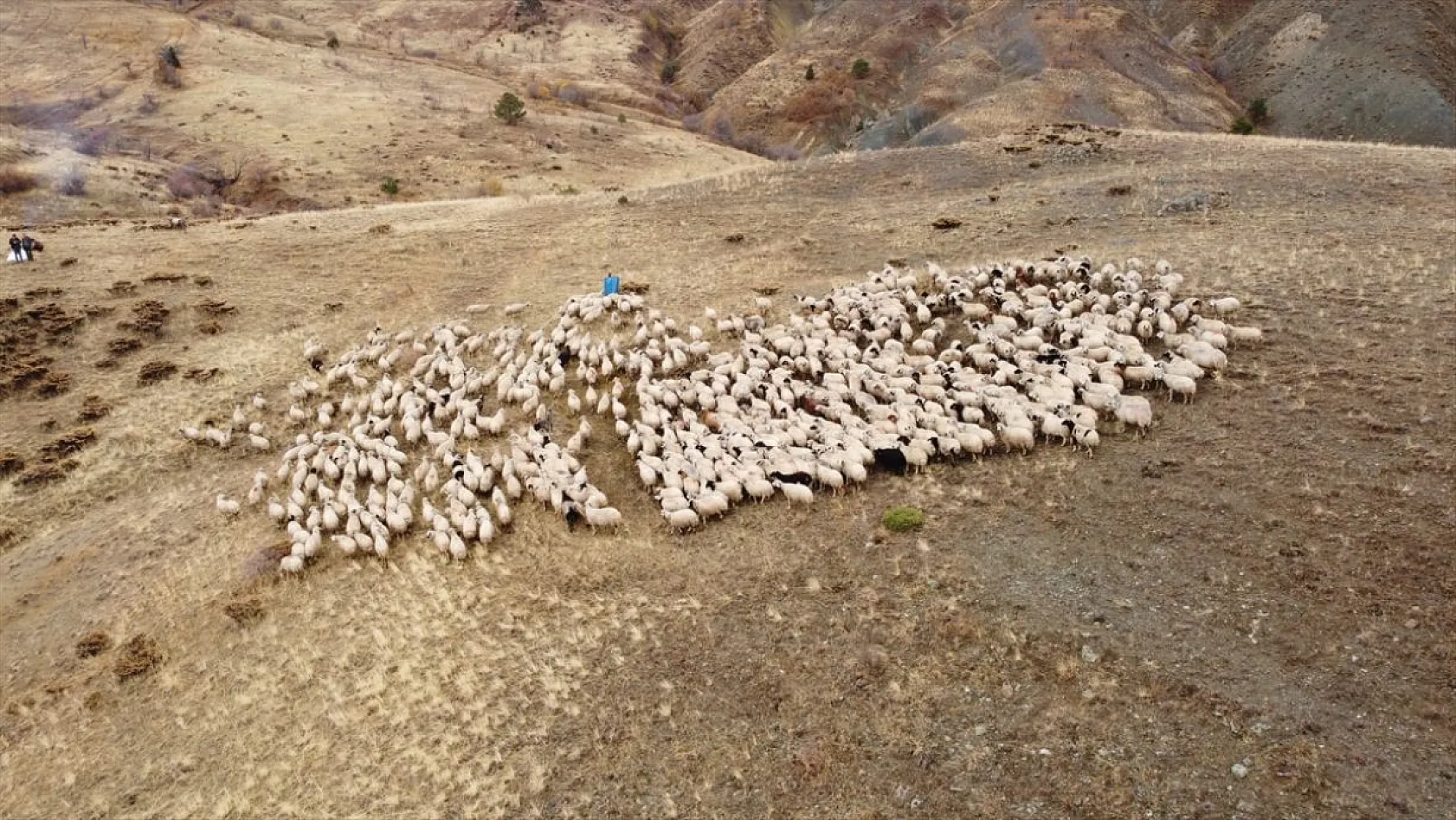 Erzincan'da göçerlerin yayladan zorlu dönüş yolculuğu başladı