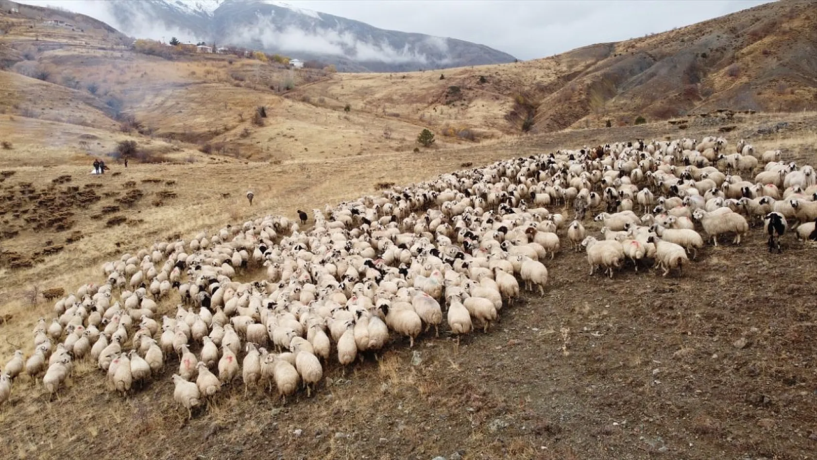 Erzincan'da göçerlerin yayladan zorlu dönüş yolculuğu başladı