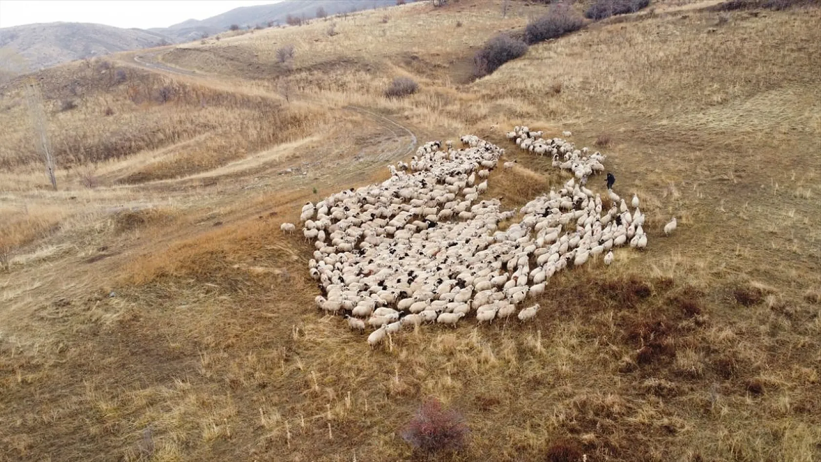 Erzincan'da göçerlerin yayladan zorlu dönüş yolculuğu başladı