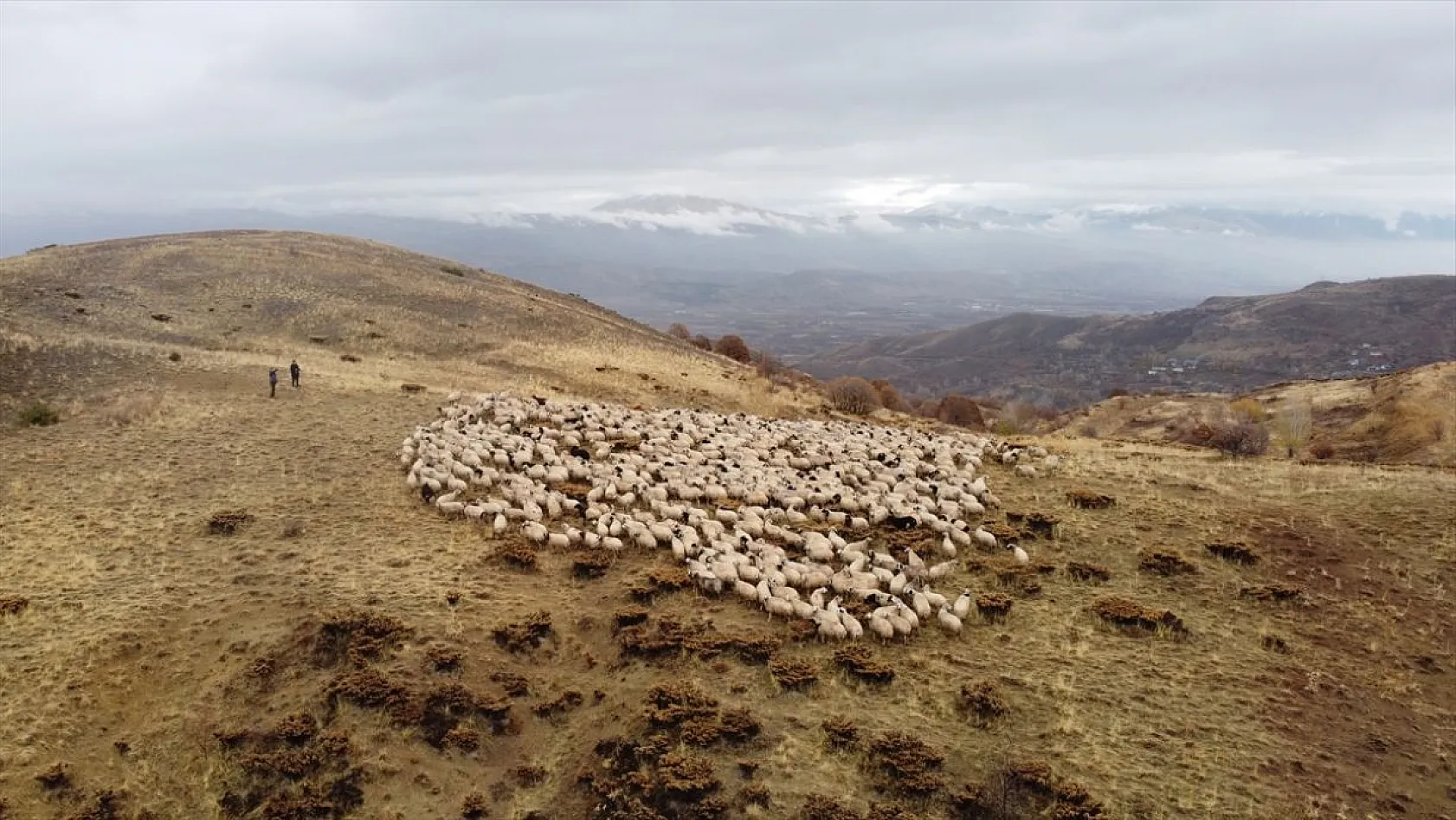 Erzincan'da göçerlerin yayladan zorlu dönüş yolculuğu başladı