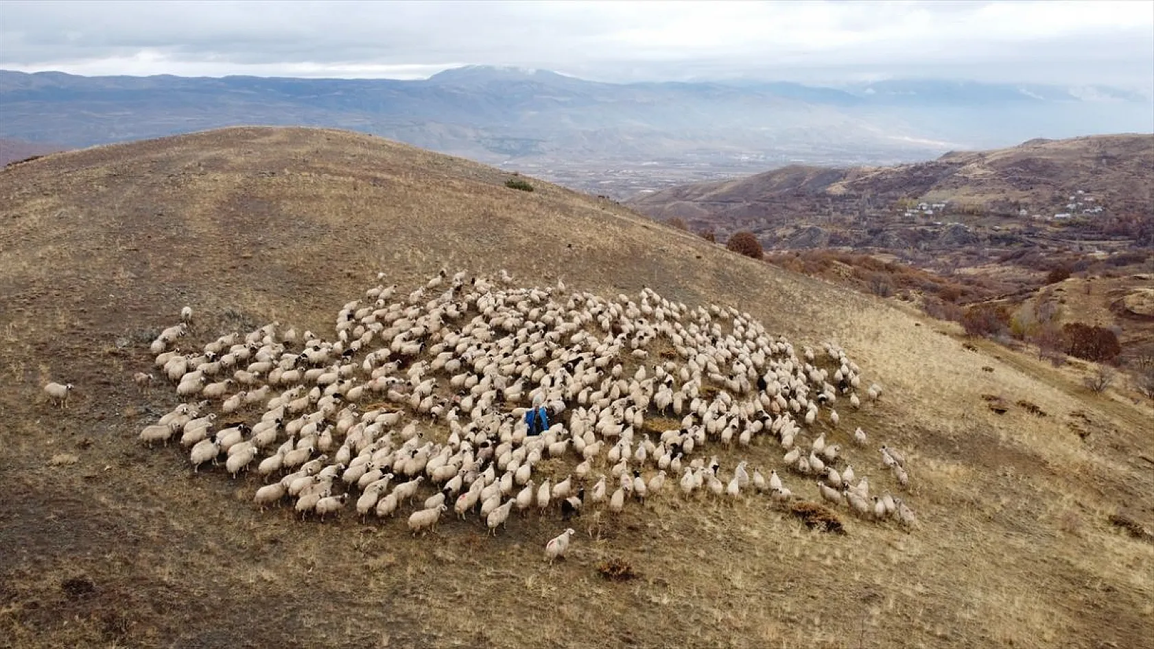 Erzincan'da göçerlerin yayladan zorlu dönüş yolculuğu başladı