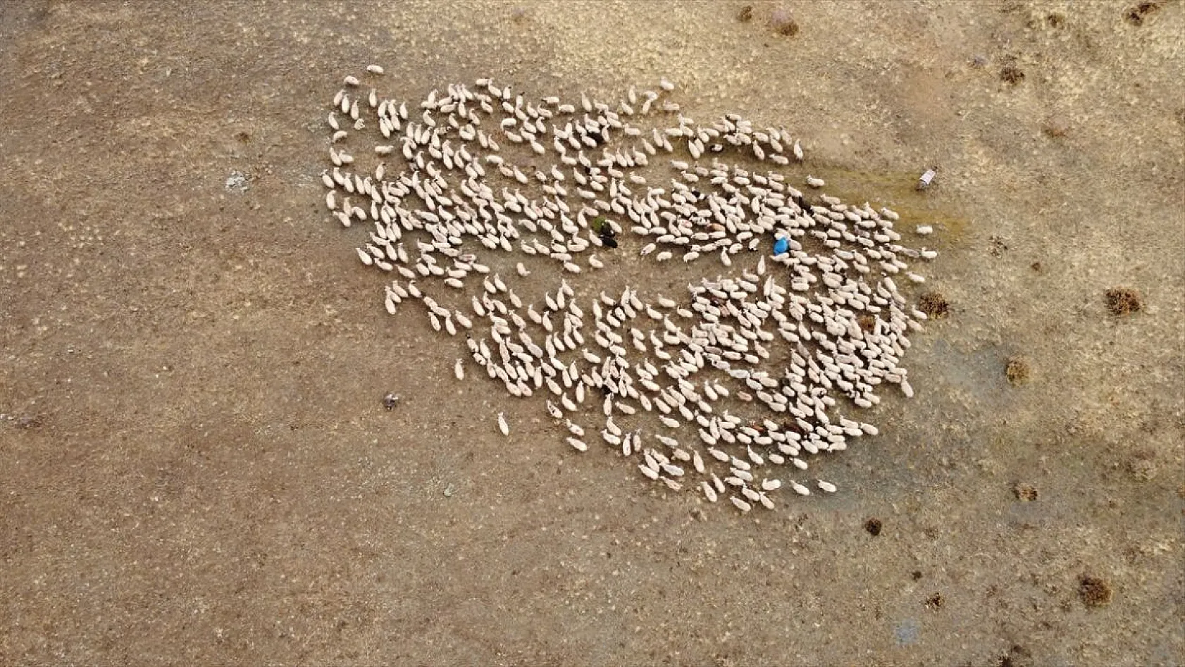 Erzincan'da göçerlerin yayladan zorlu dönüş yolculuğu başladı