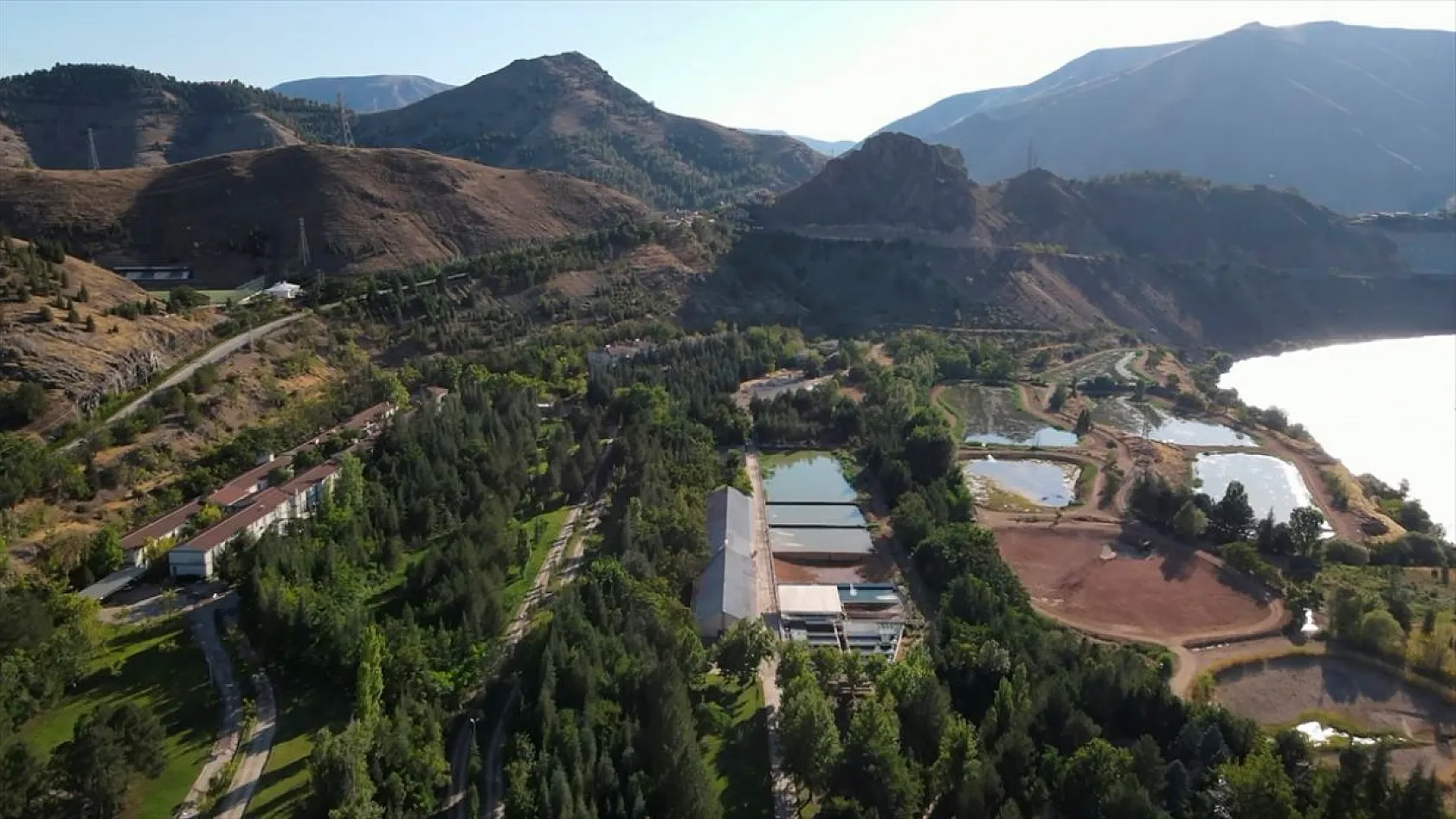 Elazığ'da üretilen yavru sazanla Doğu'daki su kaynakları balığa doyacak