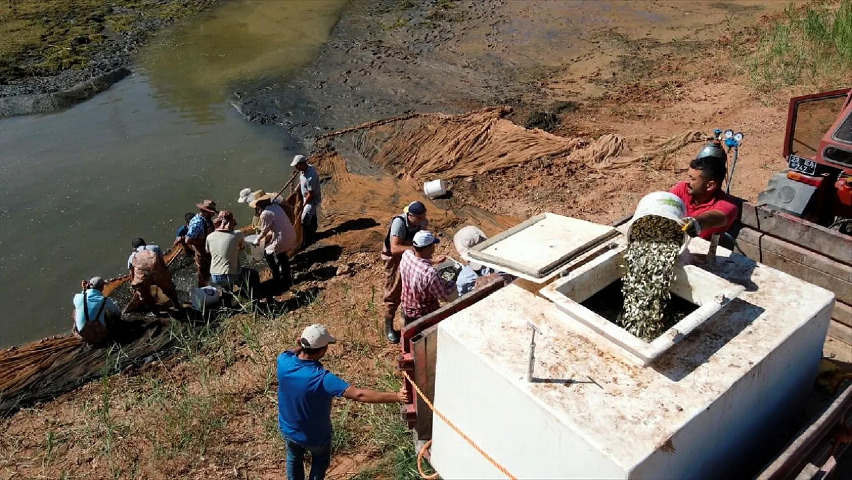 Elazığ'da üretilen yavru sazanla Doğu'daki su kaynakları balığa doyacak