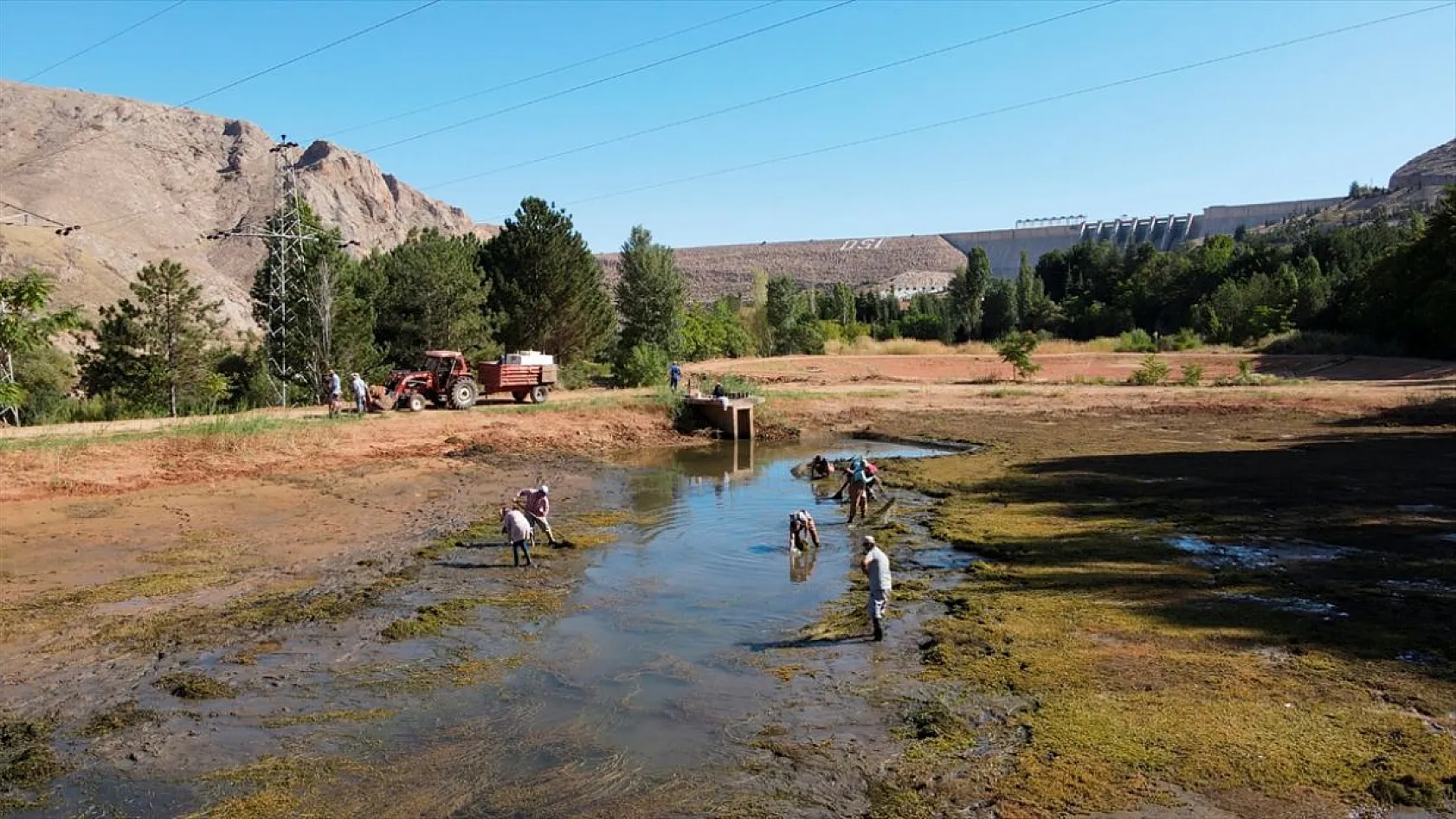 Elazığ'da üretilen yavru sazanla Doğu'daki su kaynakları balığa doyacak