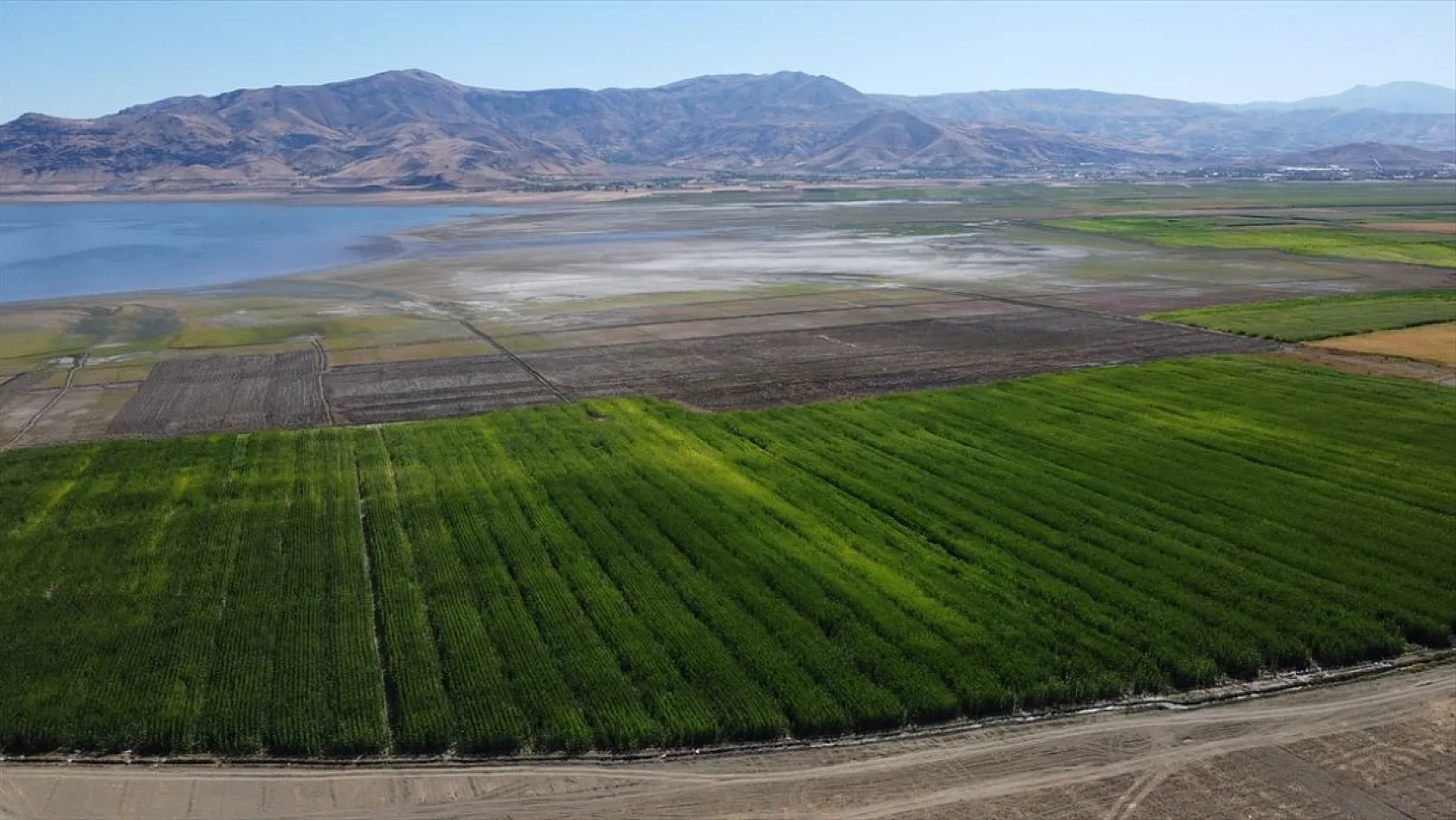 Keban Baraj Gölü'nde tarımsal üretim