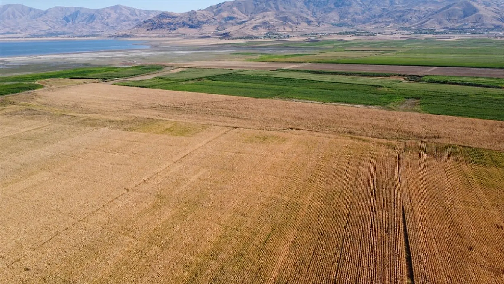 Keban Baraj Gölü'nde tarımsal üretim