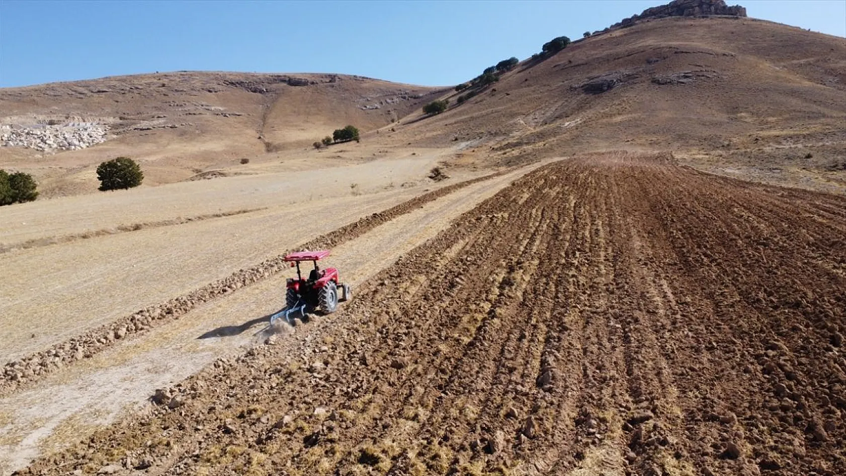Atıl araziler tıbbi bitkilerle tarıma kazandırılıyor