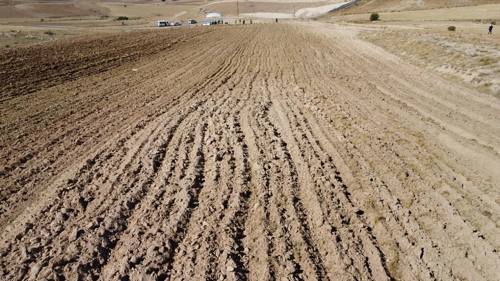 Atıl araziler tıbbi bitkilerle tarıma kazandırılıyor