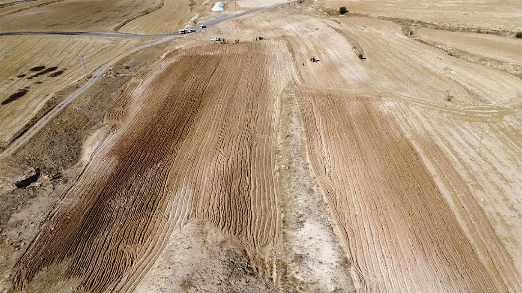 Atıl araziler tıbbi bitkilerle tarıma kazandırılıyor