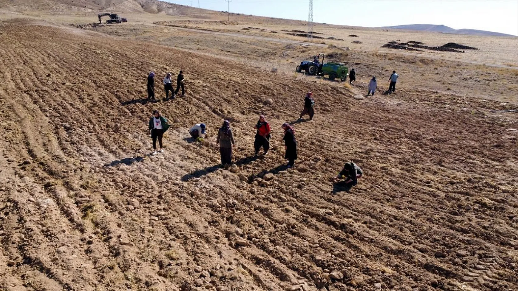 Atıl araziler tıbbi bitkilerle tarıma kazandırılıyor