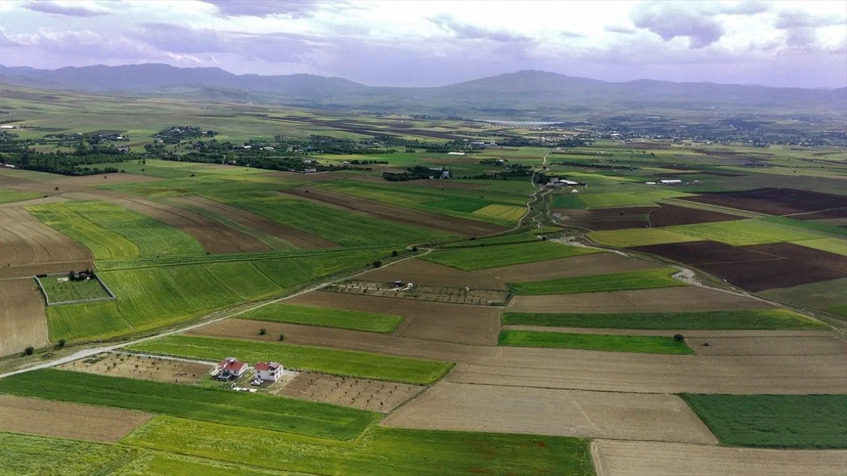 'Elazığ'da son yılların en yüksek arpa ve buğday rekoltesi bekleniyor'