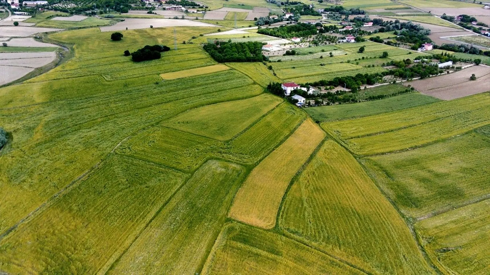 'Elazığ'da son yılların en yüksek arpa ve buğday rekoltesi bekleniyor'